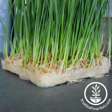 Load image into Gallery viewer, Micro-Mat Hydroponic Confetti