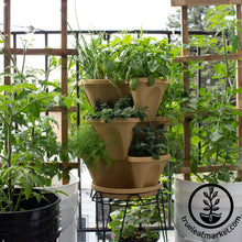 Load image into Gallery viewer, Garden Stacker Planter & Culinary Herb Kit
