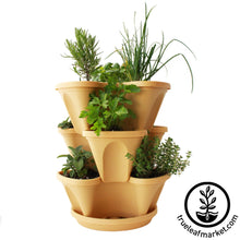 Load image into Gallery viewer, Garden Stacker Planter & Culinary Herb Kit