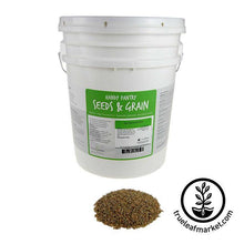 Load image into Gallery viewer, Winter Rye (organic) - Bulk Grains & Foods