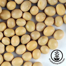 Load image into Gallery viewer, Soymilk & Tofu Making Kit with 5 Lbs Soybeans