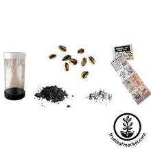 Load image into Gallery viewer, Red Maple Arbor Day Tree Kit
