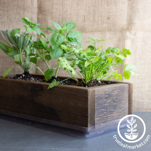 Barnwood Planter Organic Culinary Herb Garden Kit