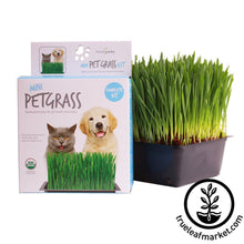 Load image into Gallery viewer, Mini Pet Grass Kit
