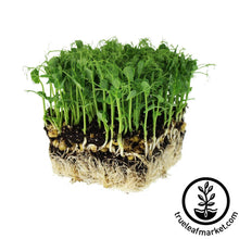 Load image into Gallery viewer, Seed Assortment: Microgreen Seeds - Soil Selection
