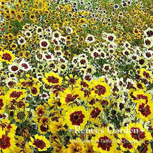 Load image into Gallery viewer, Renees Garden - Pollinator Flower Seed Collection
