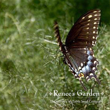 Load image into Gallery viewer, Renees Garden - Pollinator Flower Seed Collection
