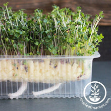 Load image into Gallery viewer, Self-Watering Growing Trays
