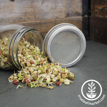 Load image into Gallery viewer, Stainless Steel Wide Mouth Sprouting Jar Lid
